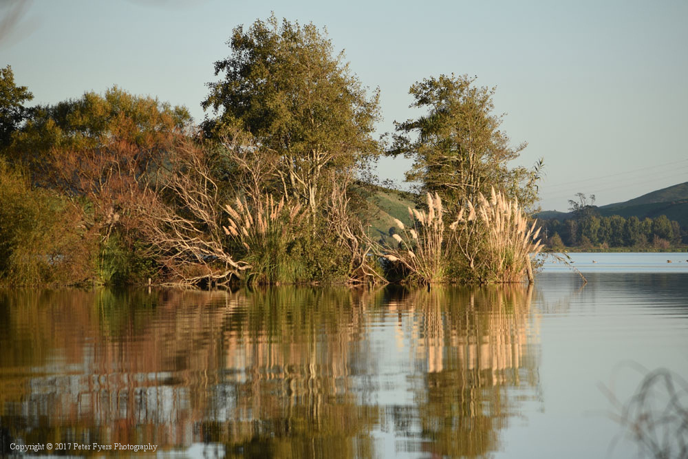 Fyers Park at Lake Waikare