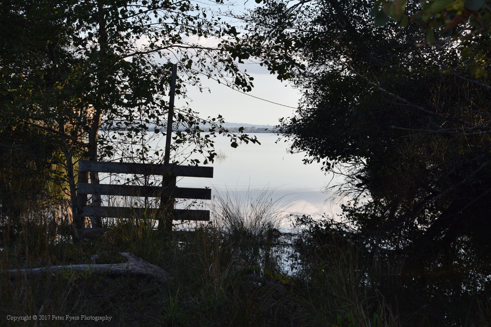 Fyers Park at Lake Waikare