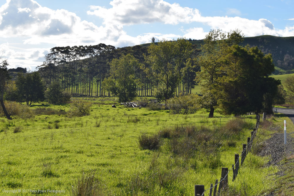 Fyers Park at Lake Waikare