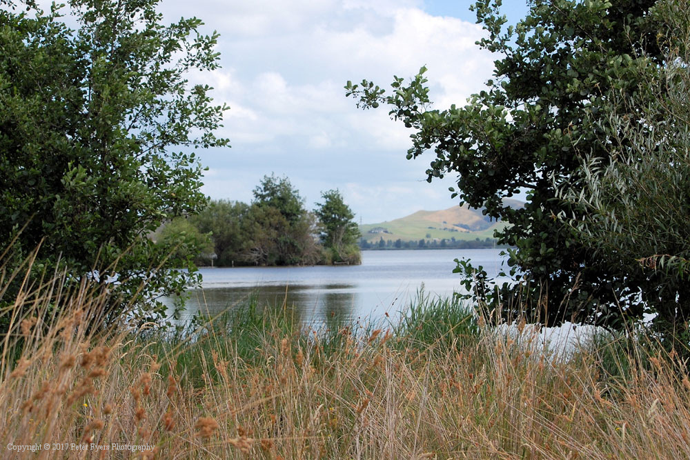 Fyers Park at Lake Waikare