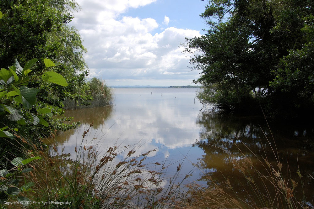 Fyers Park at Lake Waikare
