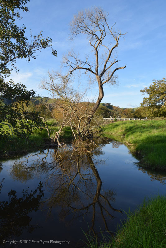 Fyers creek