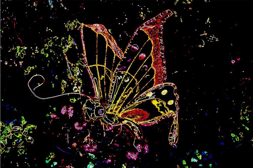 Lantern Festival butterfly altered