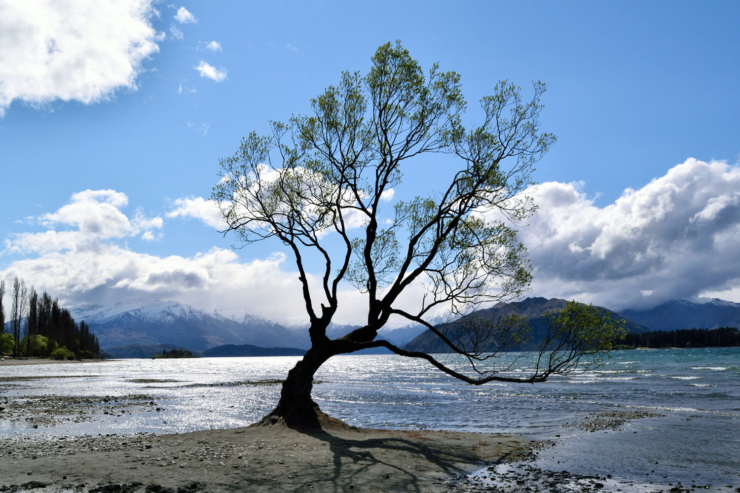 Queenstown_0416a