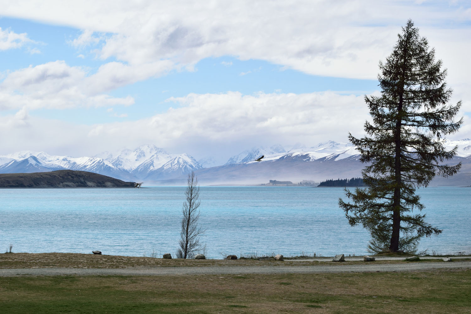 Queenstown_0515