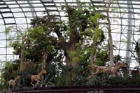 17_SingaporeNb_012a