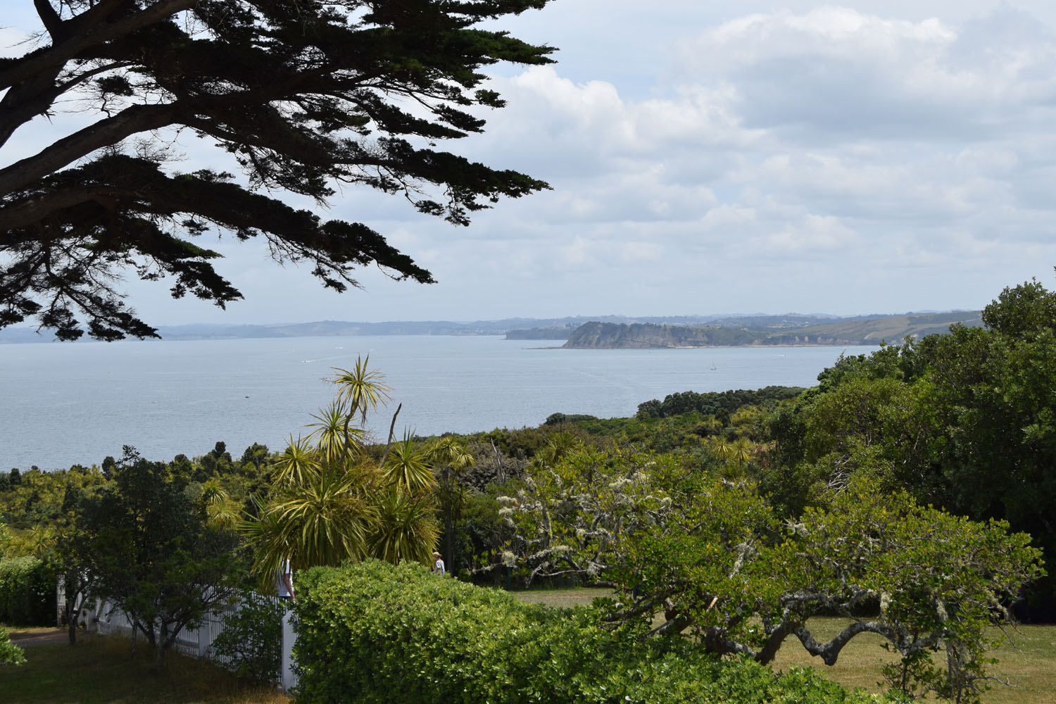 DSC_0186e